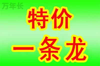 天津市蓟州区墓地价格一览表大全